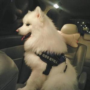 裸体动漫美女自慰
