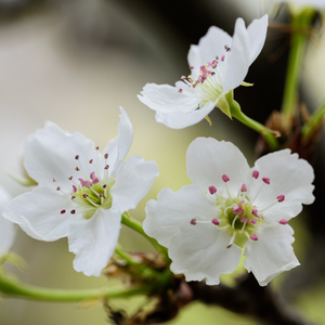 裸体动漫美女自慰
